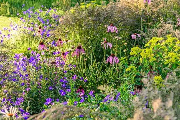 Impressionen Juni