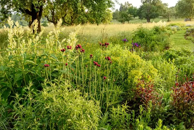 Impressionen Juni