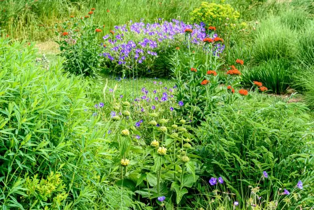 Impressionen Juni
