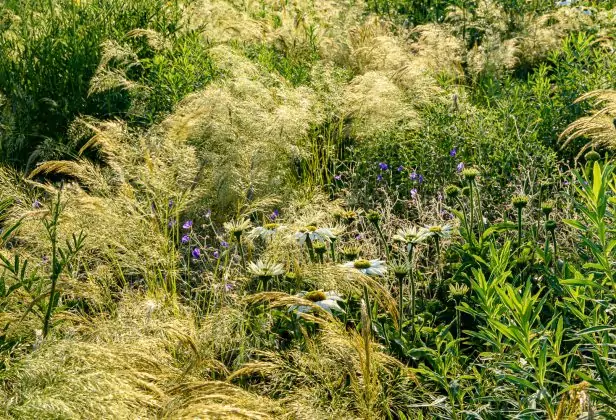 Impressionen Juli