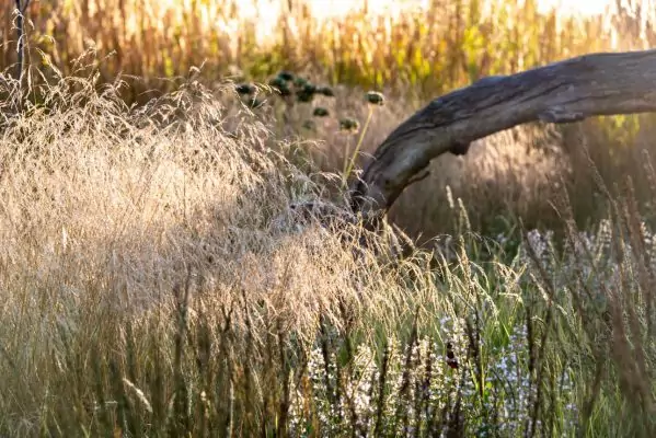 Impressionen September
