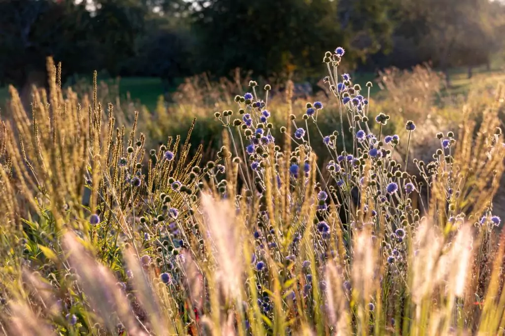 Impressionen September