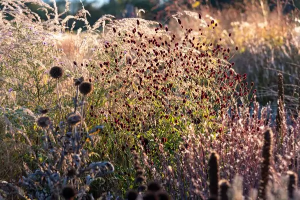 Impressionen September