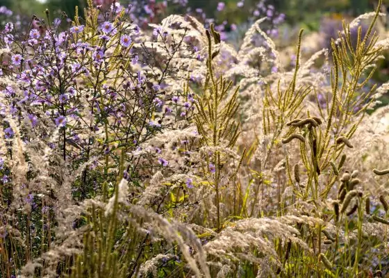Impressionen September