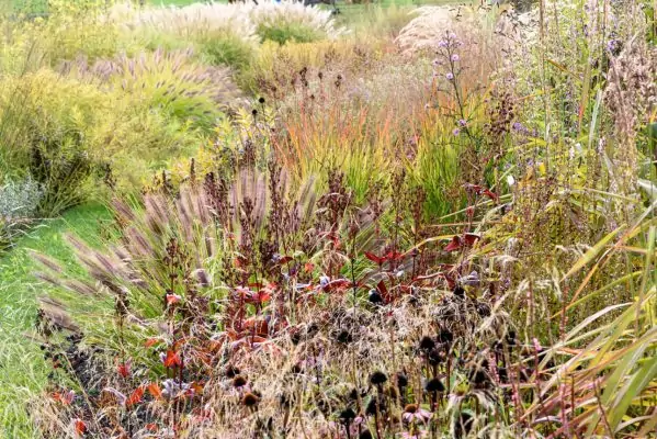 Impressionen September