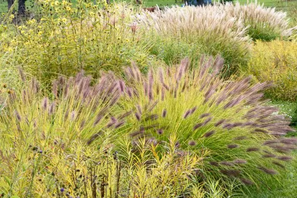 Impressionen September