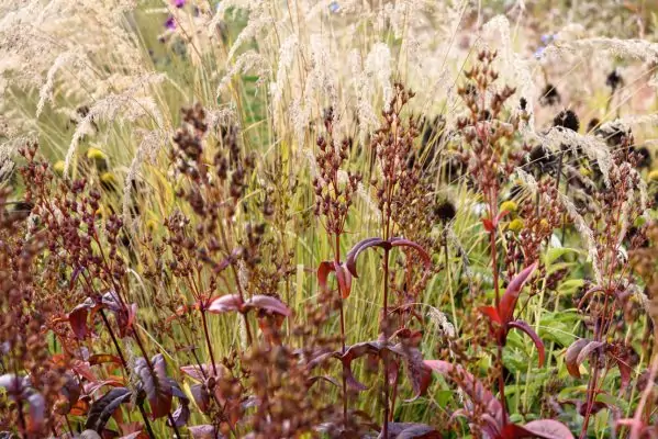 Impressionen September