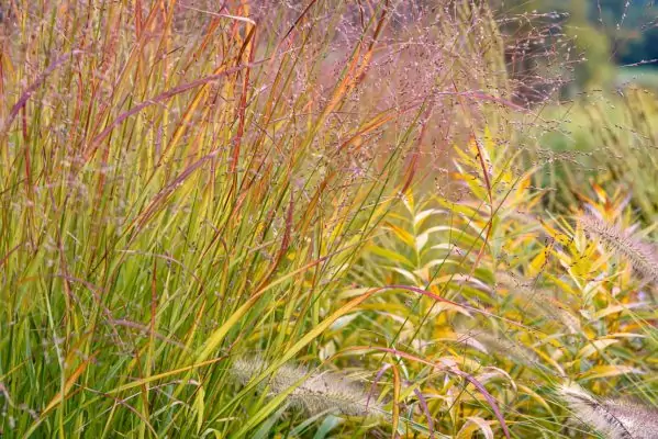 Impressionen September