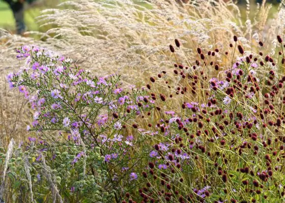 Impressionen September