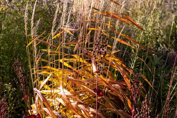Impressionen September