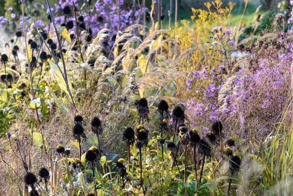 Impressionen September