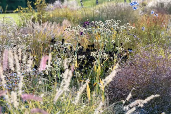 Impressionen September