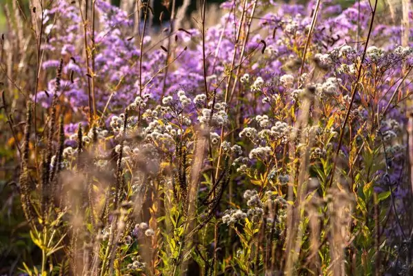 Impressionen Oktober