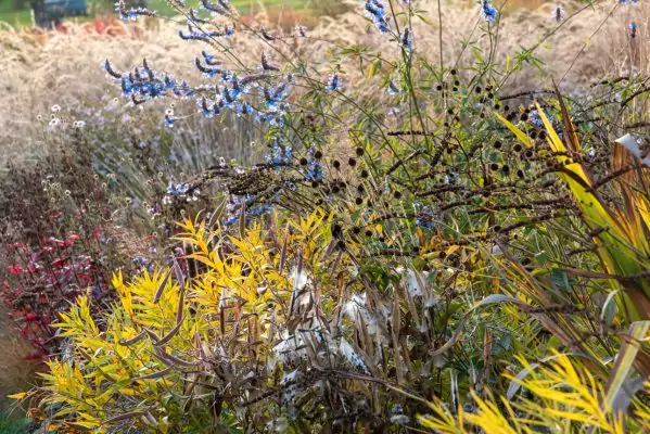 Impressionen Oktober