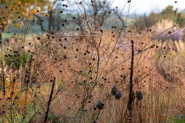 Impressionen Oktober