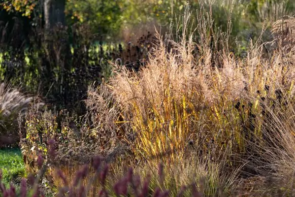 Impressionen Oktober