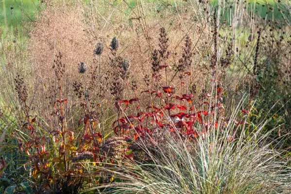 Impressionen Oktober