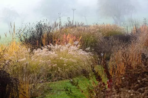Impressionen November