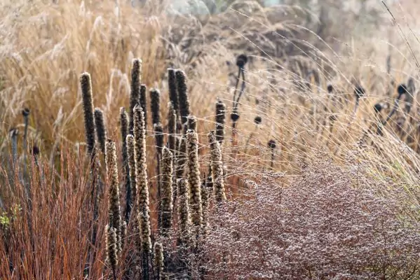 Impressionen November