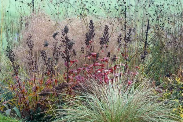 Impressionen November