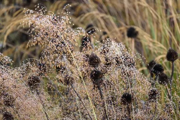 Impressionen November