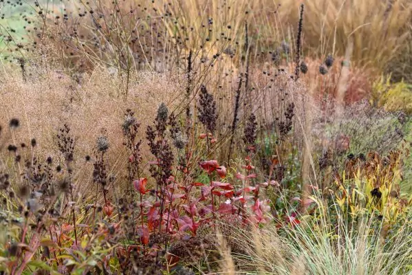 Impressionen November