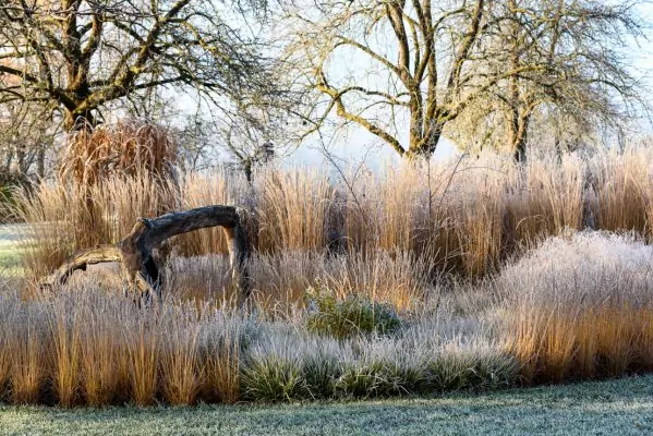 Impressionen November