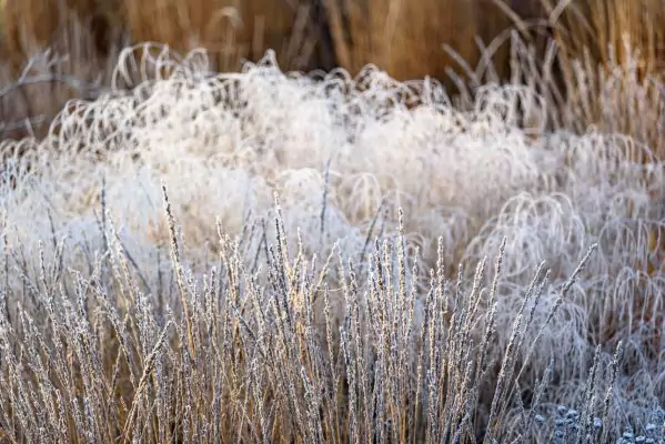 Impressionen November