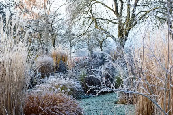Impressionen November