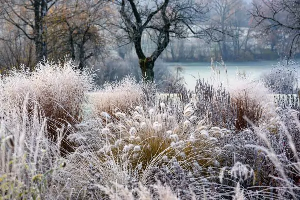 Impressionen November