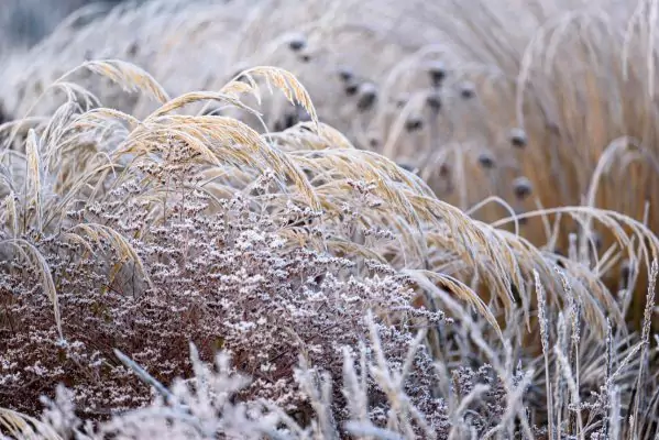 Impressionen November