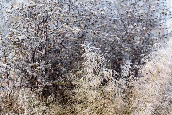 Impressionen November