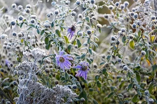 Impressionen November