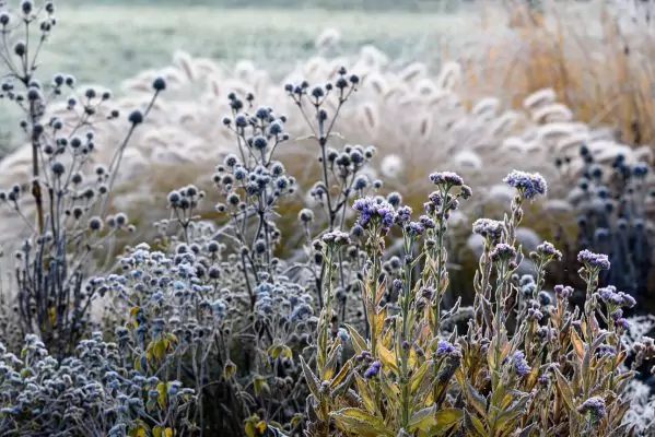 Impressionen November