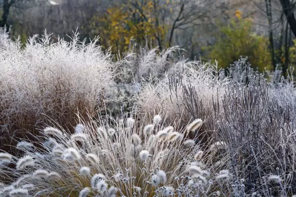 Impressionen November