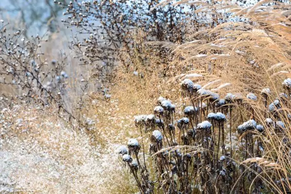Impressionen Dezember