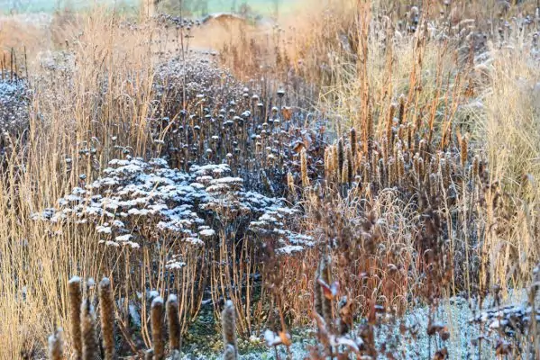 Impressionen Dezember