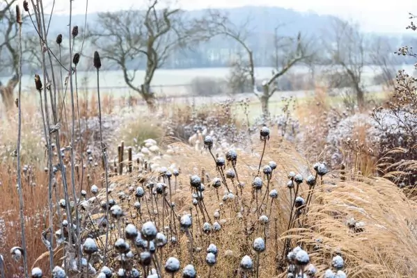 Impressionen Dezember