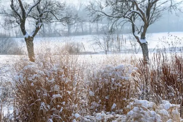 Impressionen Dezember