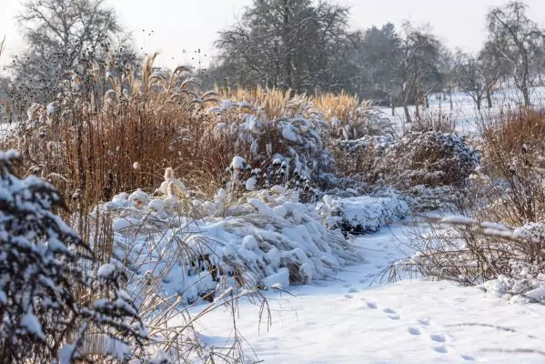 Impressionen Dezember