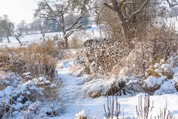 Impressionen Dezember