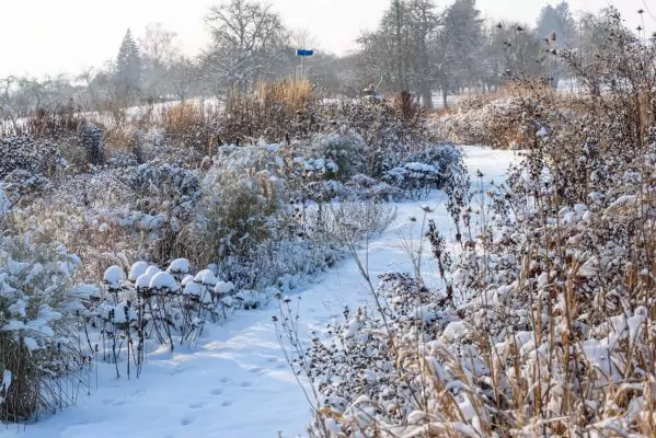 Impressionen Dezember