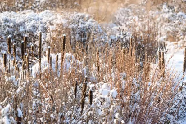 Impressionen Dezember