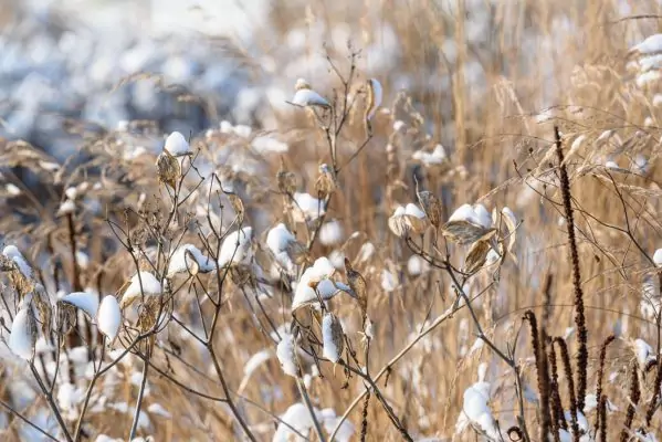 Impressionen Dezember