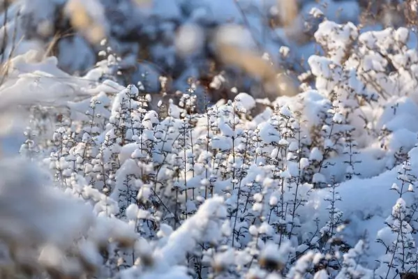 Impressionen Dezember