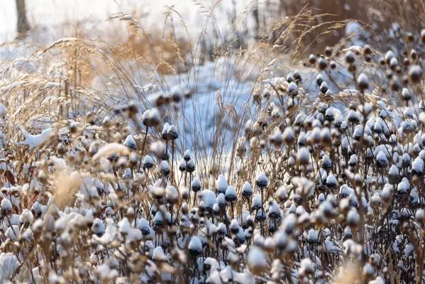 Impressionen Dezember