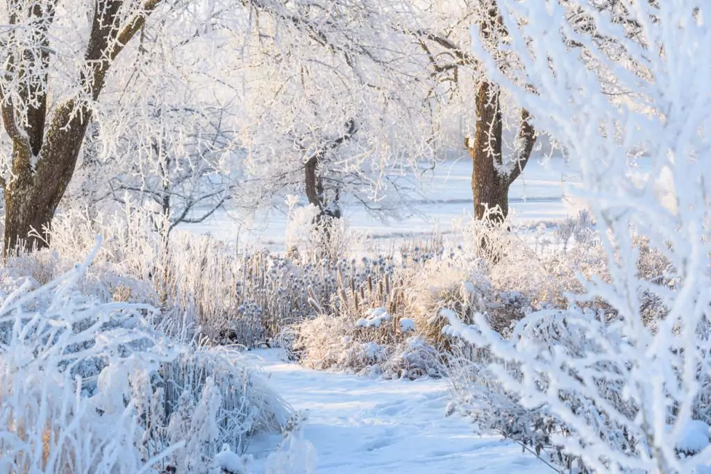 Impressionen Dezember