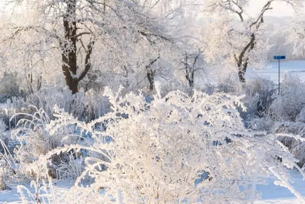 Impressionen Dezember