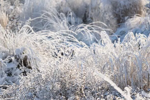Impressionen Dezember