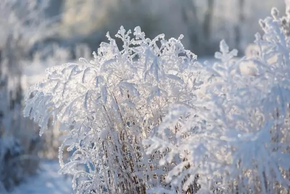 Impressionen Dezember